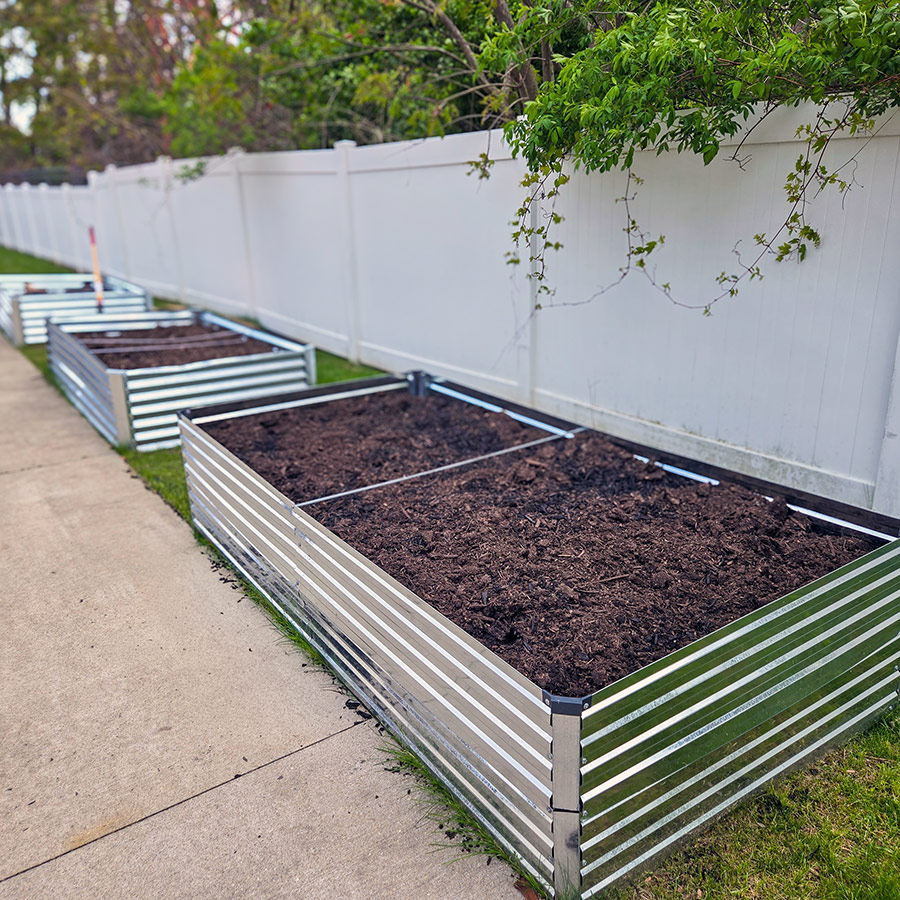 Large, rectangular raised planters beside a walkway at Vitalia Montrose.